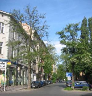  (Waldenserstraße, Berlin-Moabit, ) 