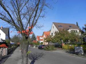  (Singener Weg, Berlin-Zehlendorf, Tierkliniken, Veterinärmedizinisches Institut, Museumsdorf) 