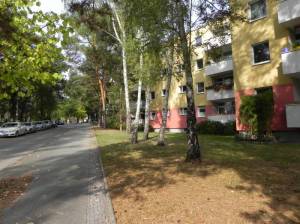  (Edwin-C.-Diltz-Straße, Berlin-Nikolassee, Yehudi-Menuhin-Park, Museumsdorf Düppel, Forst Düppel) 