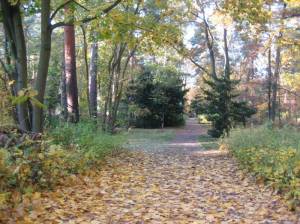  (Lindenfelser Weg, Berlin-Zehlendorf, ) 