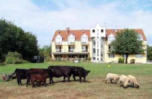  (Landhotel Löwenbruch, Alt-Löwenbruch 57, 14974 Löwenbruch) 