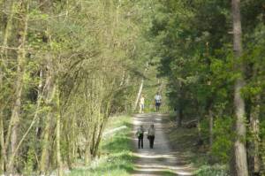  (Bürgermeister-Stiewe-Weg, Wannsee) 