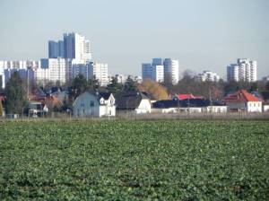 Klicken zum Vergrößern (Krokusweg, Großziethen, )