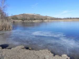  (Kleiner Arkenberger Baggersee, Berlin-Blankenfelde) 