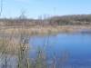  (Kleiner Arkenberger Baggersee, Berlin-Blankenfelde) 