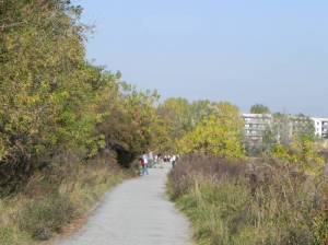  (Wanderung um den Kienberg, Berlin-Marzahn, Jelena-Šantić-Friedenspark,, Landschaftspark Wuhletal, Rohrbruch, Plattenbaumuseum) 