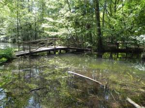  (Kuhlake-Brücke, Berlin-Hakenfelde, Kuhlake, Spandauer Forst, Wildgehege) 