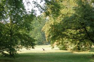 Ruhwaldpark Spandauer Damm, Berlin-Charlottenburg, Postleitzahl 14052 (Neu Westend)