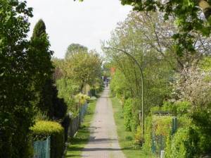 Kleingartenanlage Abendruh (2014) KGA Abendruh, Berlin-Lichterfelde, Vier-Kolonien-Weg, Vereinslokal