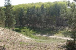  Murellenschlucht, Charlottenburg