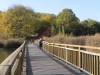  Wanderung um den Kienberg, Berlin-Marzahn, Jelena-Šantić-Friedenspark,, Landschaftspark Wuhletal, Rohrbruch, Plattenbaumuseum